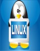 Giáo trình Quản trị hệ thống Linux: Phần II